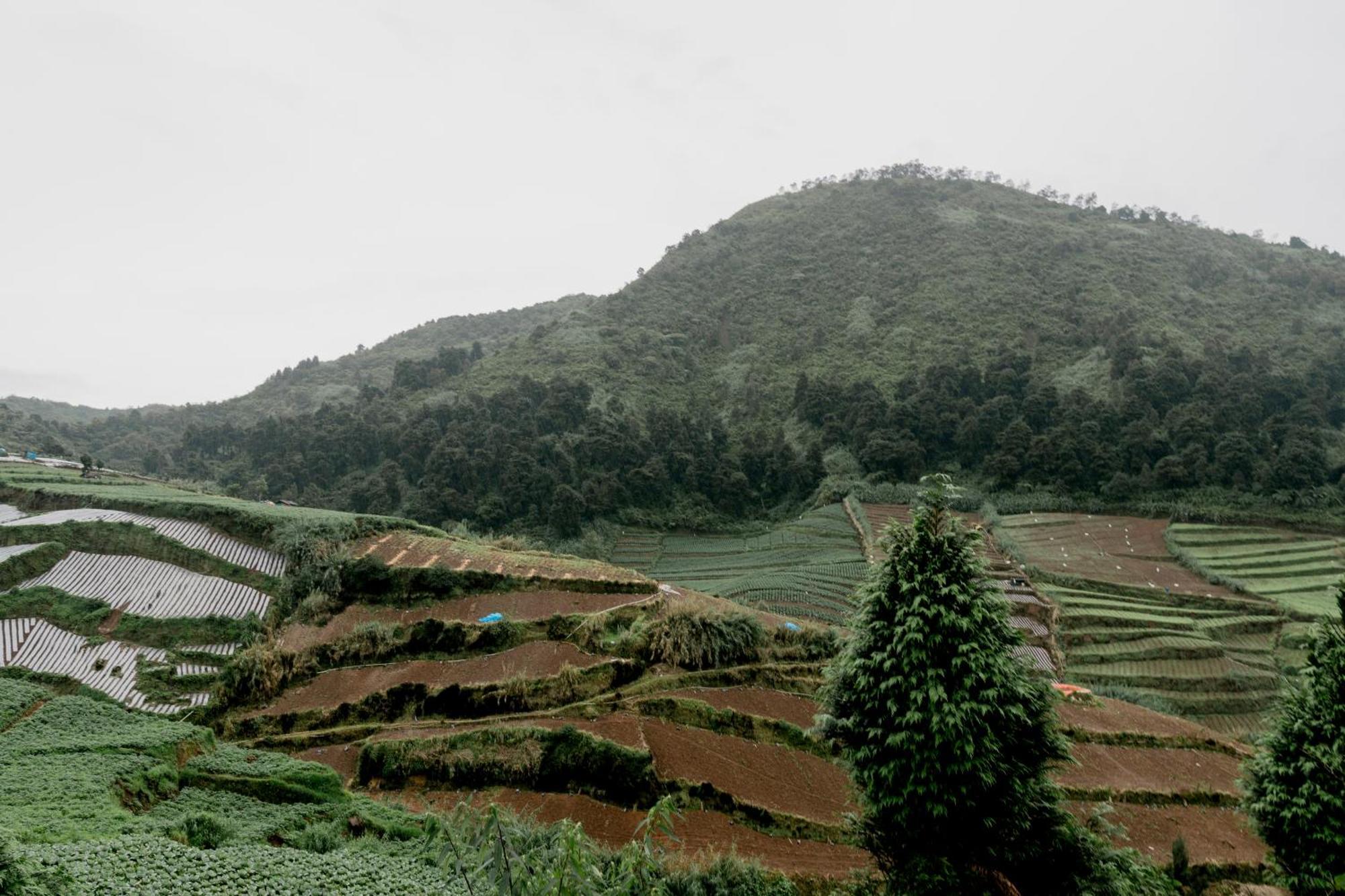 Satha Private Villa Dieng Banjarnegara Exterior photo